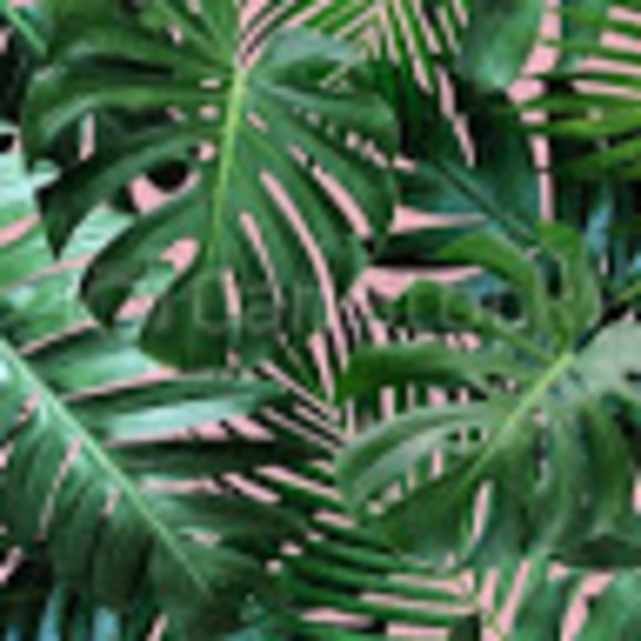 Meet your Posher - Picture 1 of 1